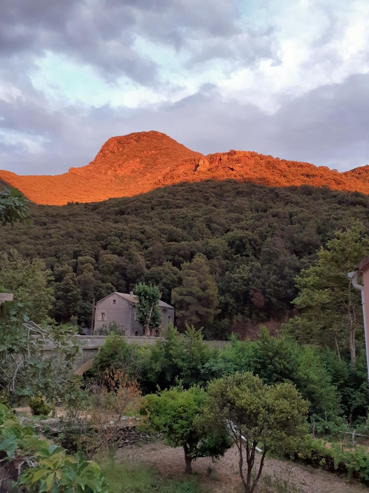 Cap Corse - Maison A 500M De La Plage Grillasca Екстериор снимка